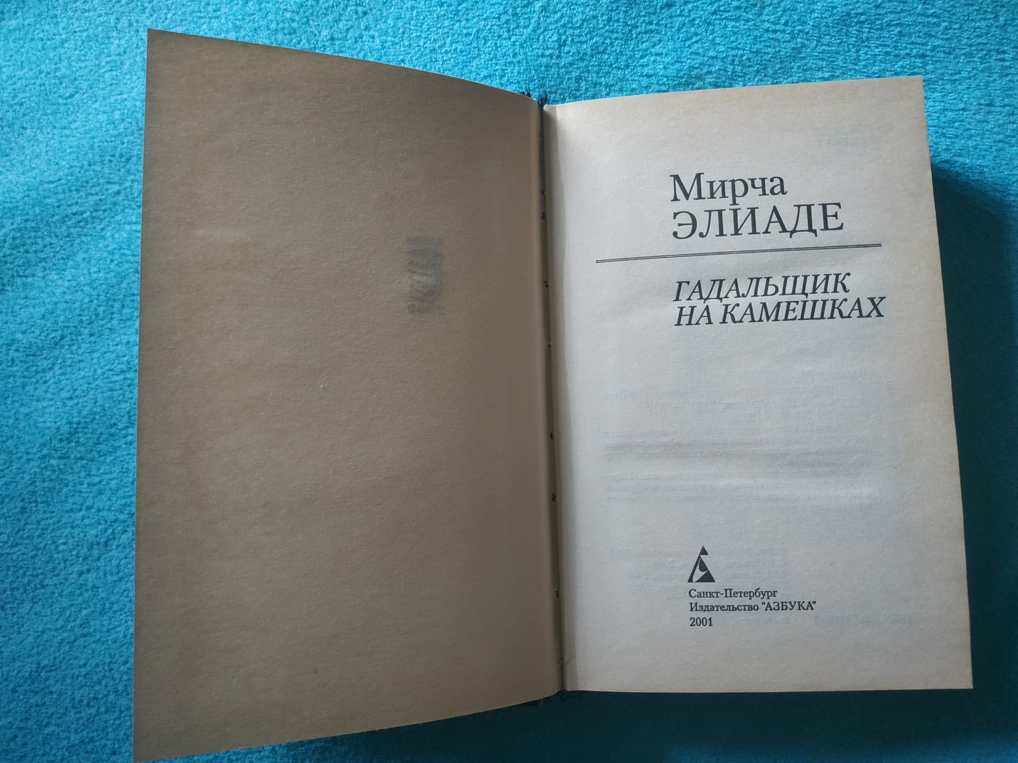 книга Мирча Элиаде Гадальщик на камешках