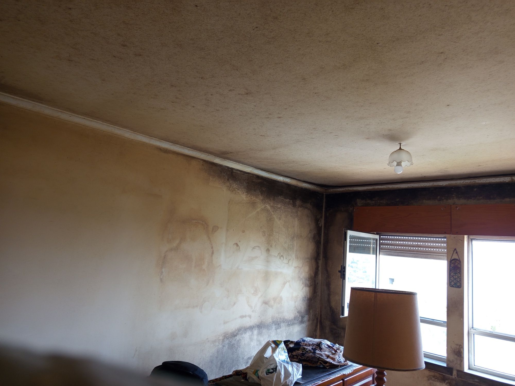 Pintas color, pinturas interiores e exteriores orçamentos grátis