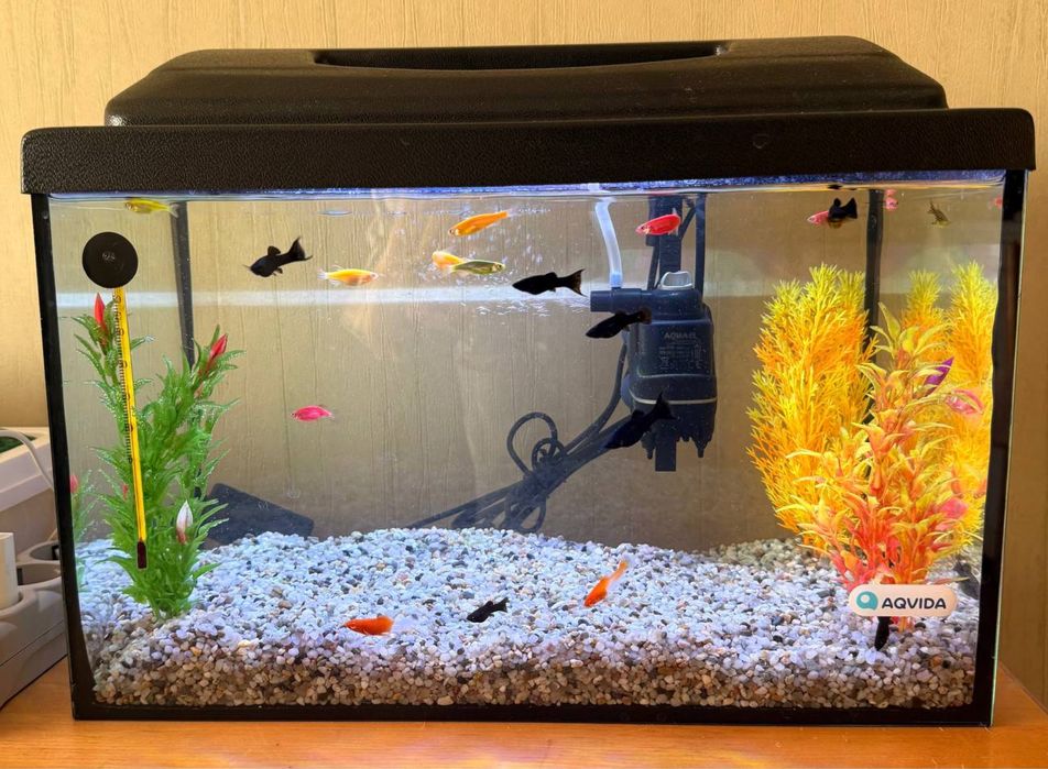 Продам аквариум(комплект) 25л.