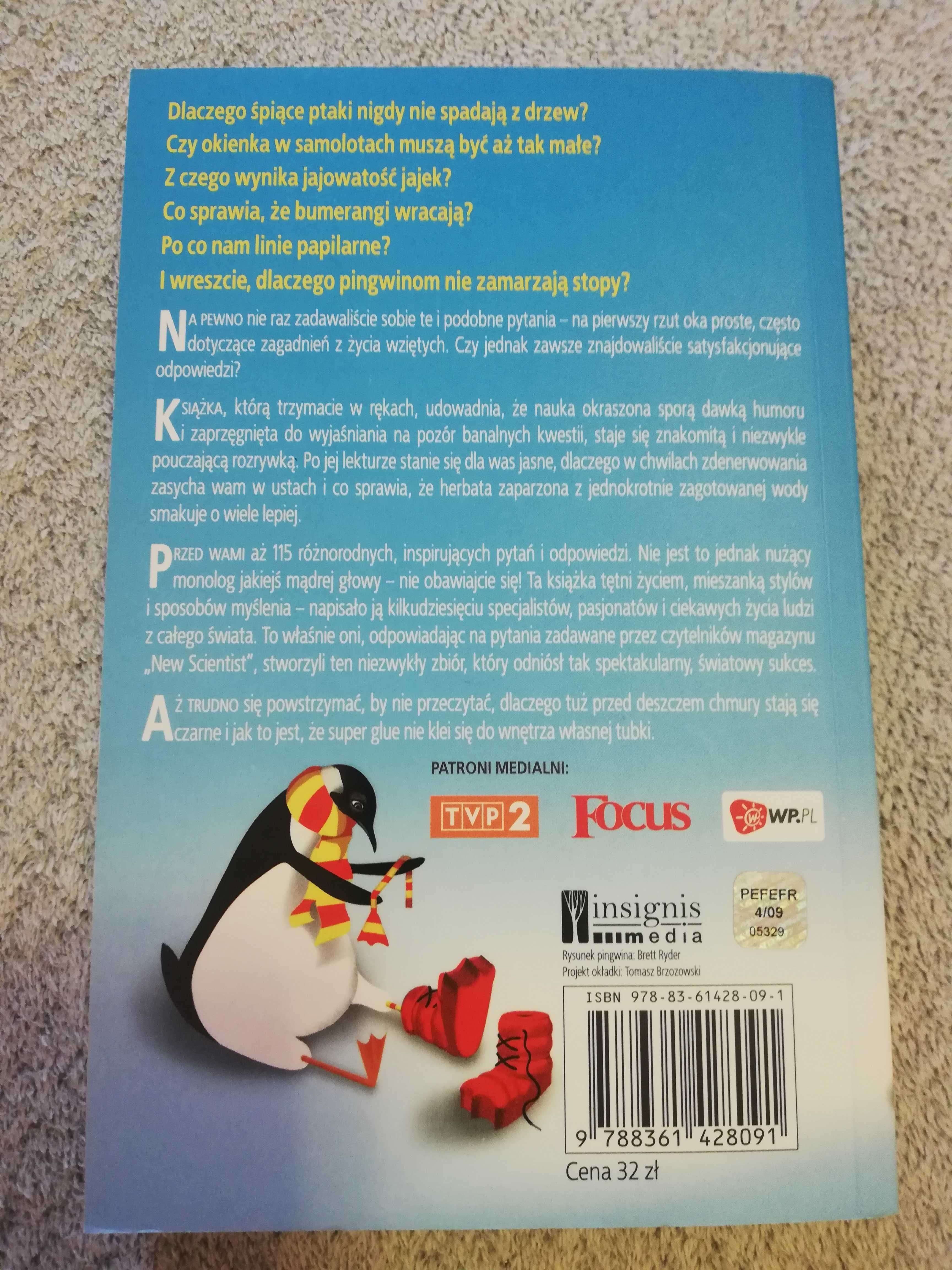 Dlaczego pingwinom nie zamarzają stopy