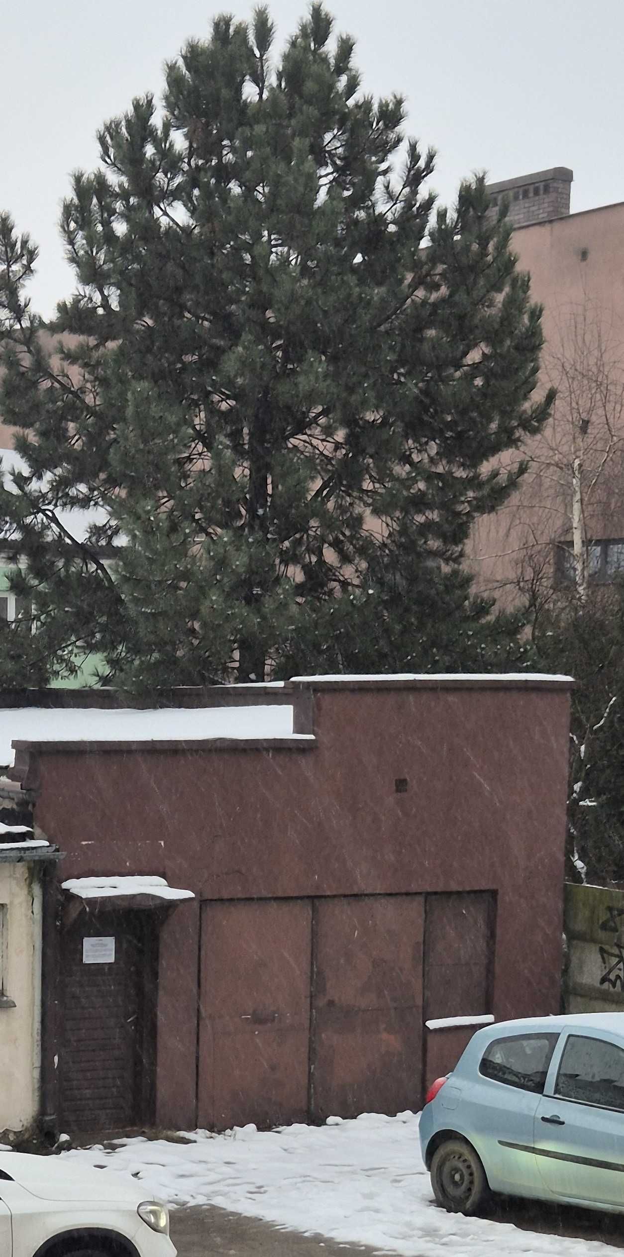 Budynek do zagospodarowania według własnych potrzeb