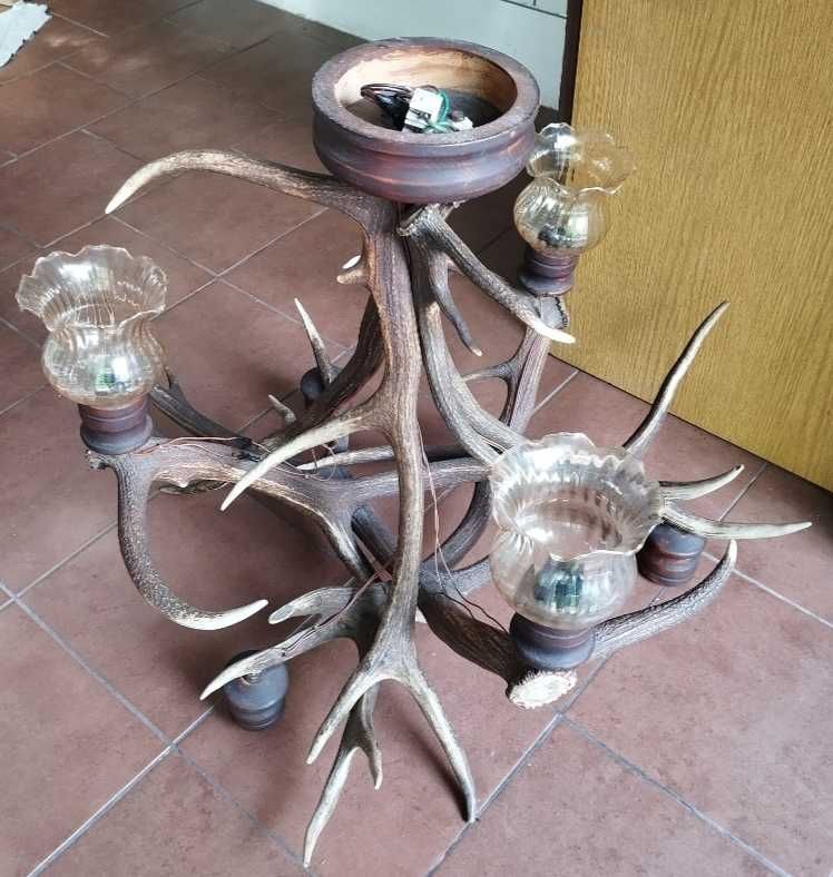 Żyrandol z poroża jelenia