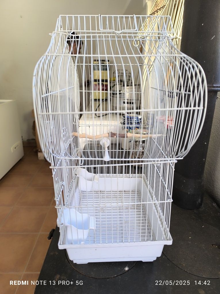 Gaiola para pássaros