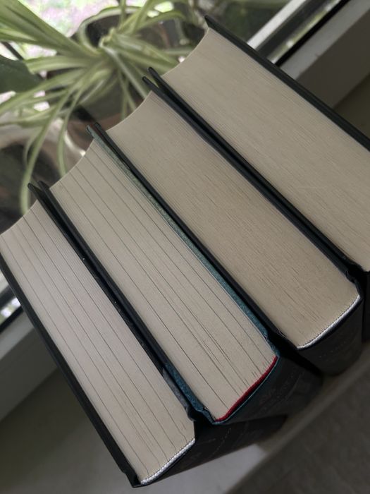 Серія «Шістка воронів»+ «Королівство шахраїв»