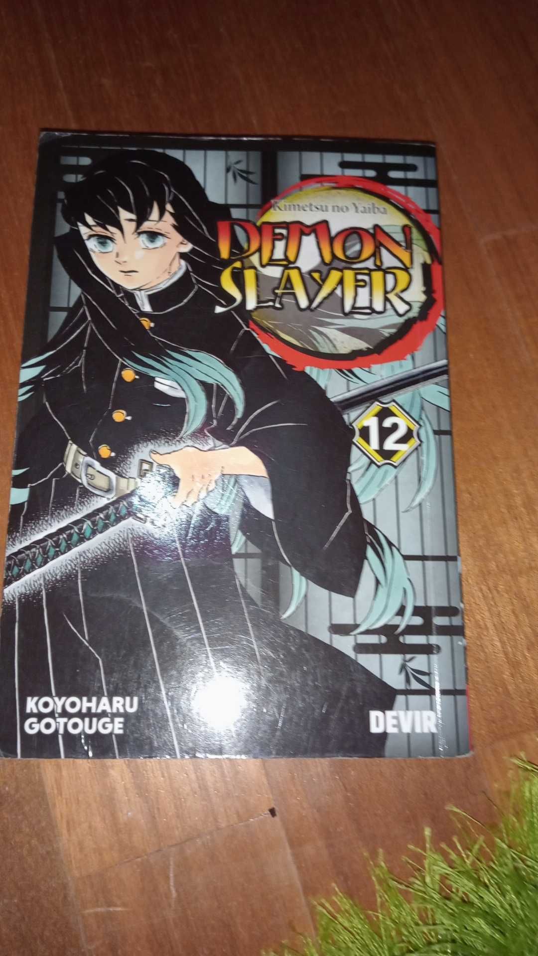 Coleção de livros Daemons Slayer  muito bons