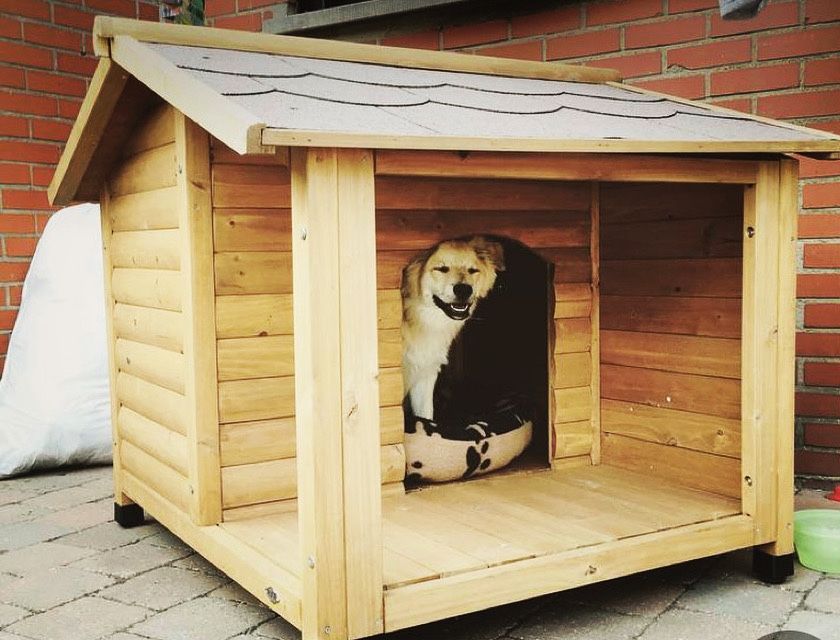 Собача будка на замовлення псам собакам котикам
