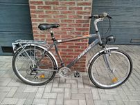 Rower Arkus Classis 1000 - zmodyfikowany
