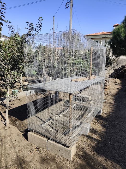 Gaiolas para Aves de medio e grande porte