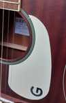 Gitara Gretsch Jim Dandy Dreadnought MAH WPG FRSTN parlor