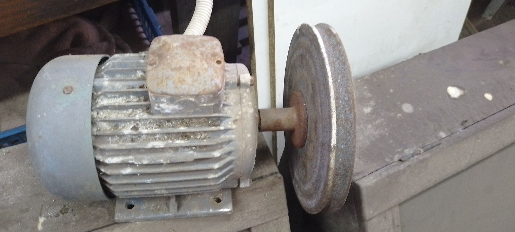 Vendo motor trifásico rabor