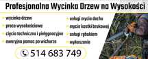 Profesjonalna wycinka drzew Mycie Kostki brukowej