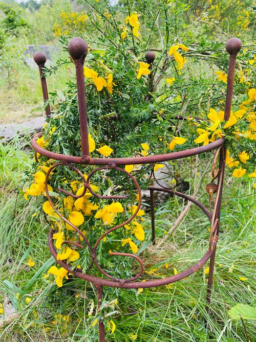 Podpora podpórka 55cm metal róż piwonii hortensji solidna, producent