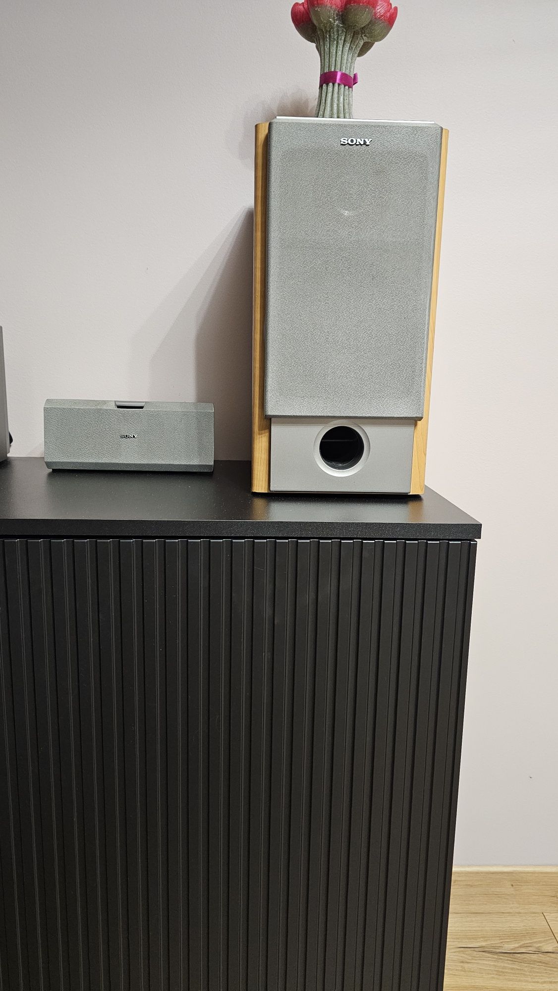 Sprzedam wierzę Sony MHC-NX3AV