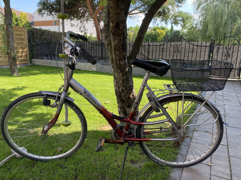 Bathavus damski 28 cali