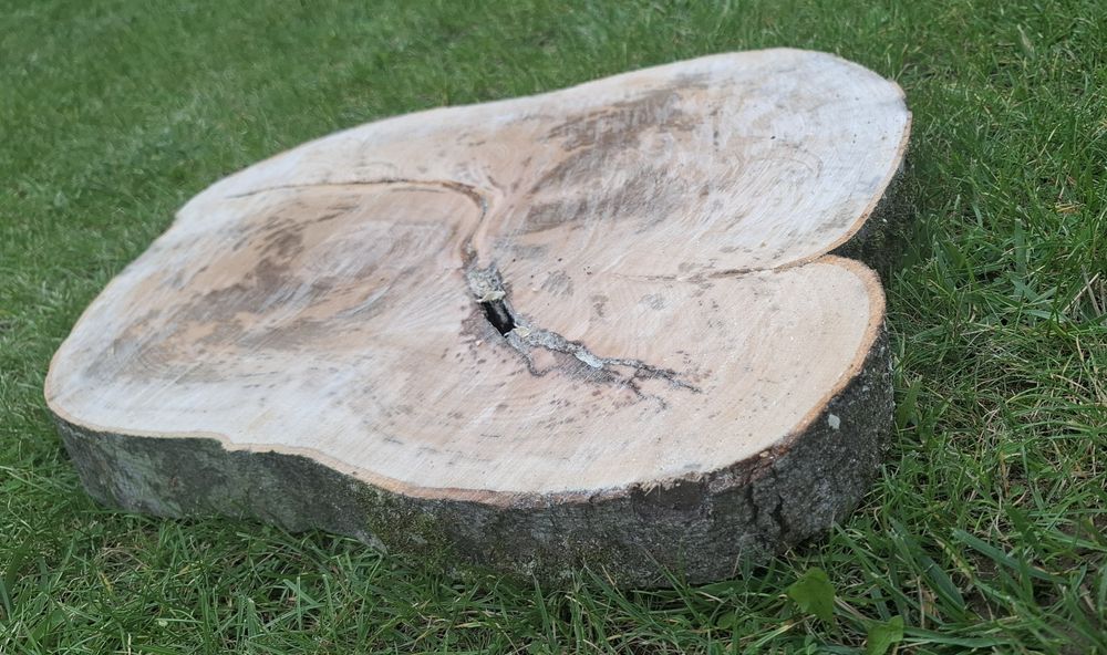 Plastry drewna bukowego