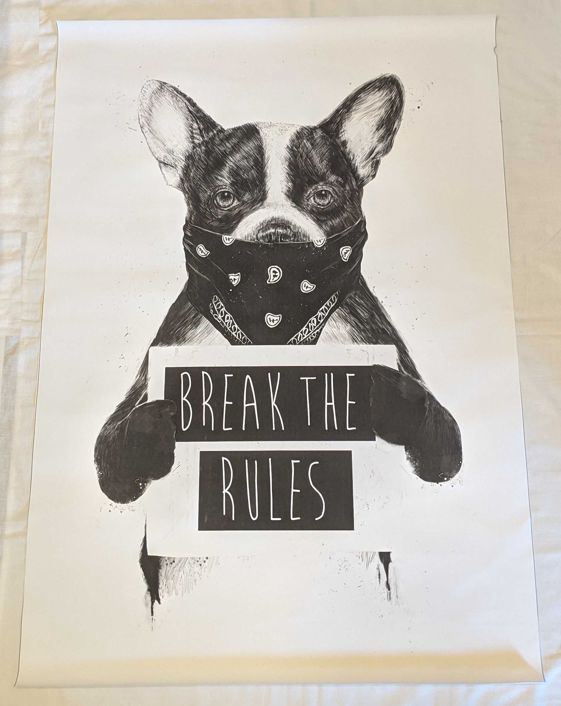 Obraz Canvas artystyczny buldog pies mops Break The Rules 105x70cm