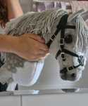 Hobby horse zamu czerwiec