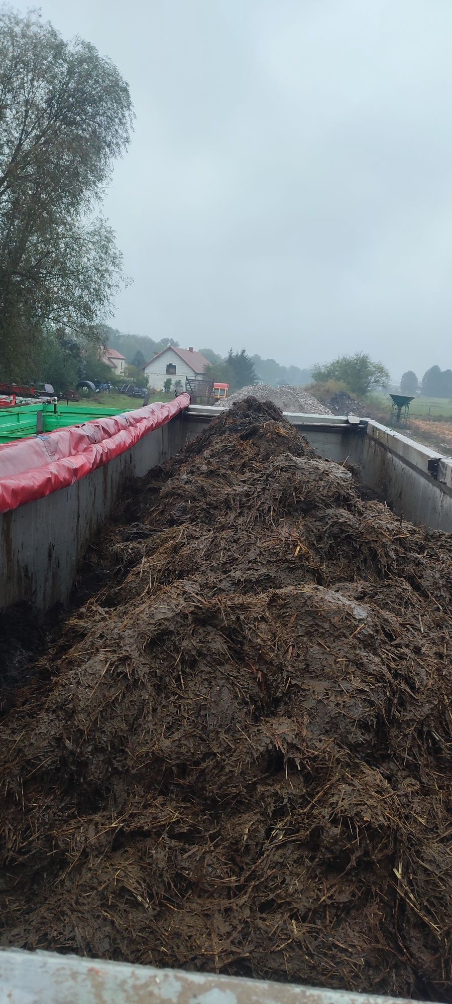Obornik gnój  bydlęcy od krów krowi dostawy