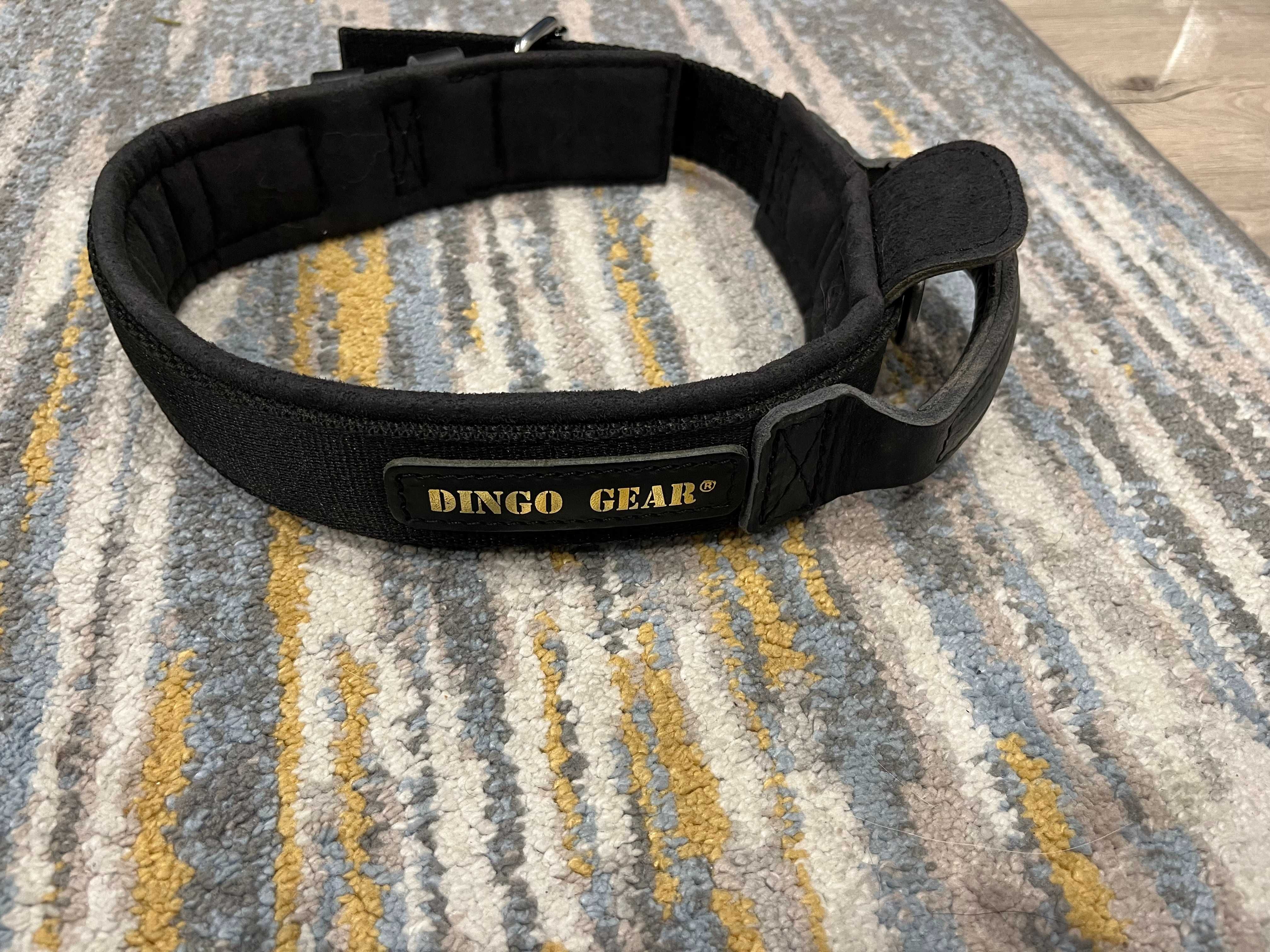 Obroża K9 Dingo Gear