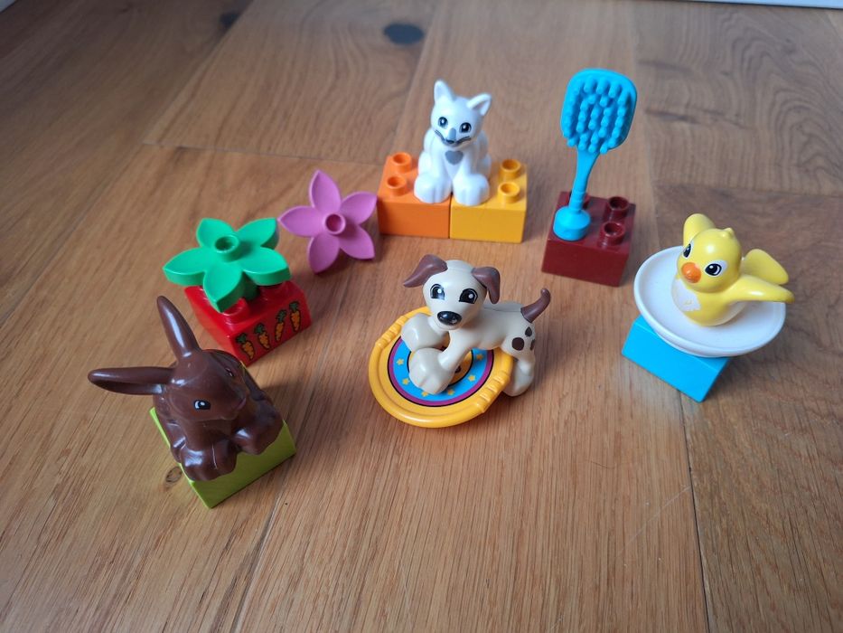 LEGO Duplo Zwierzątka domowe 10838 Zwierzęta domowe