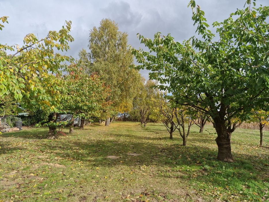 Działka budowlana Chwałko klasa IIIB