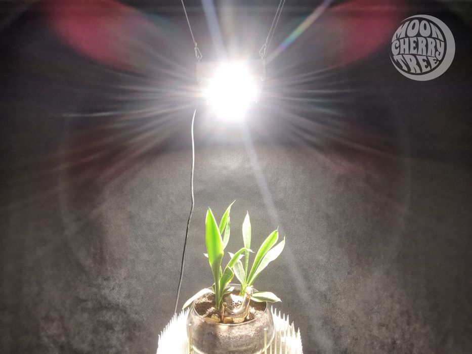 Panel led, quantum board clu058 lm301h evo, cmu 2236, clu04h  150-600W