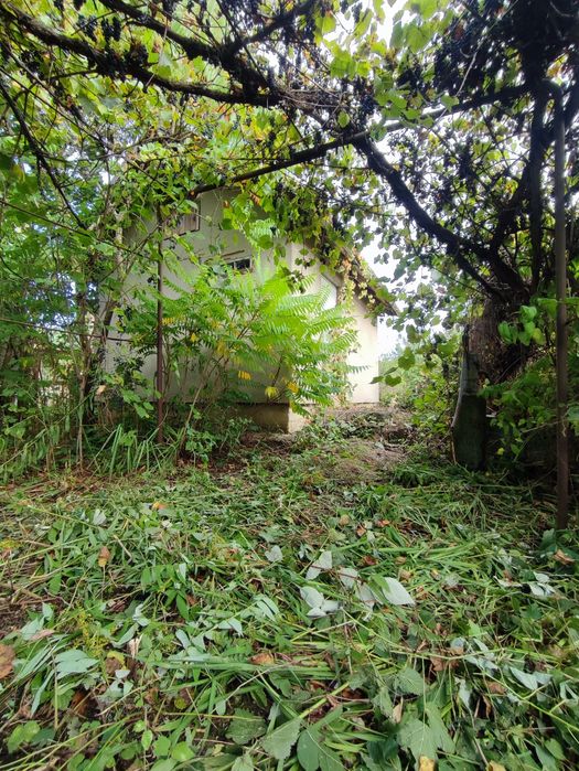 Продаж ділянка та дачний будинок вул.Набережна