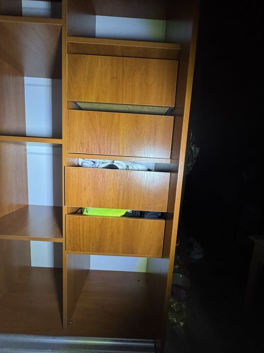 Шкаф-купе с матовыми стеклянными дверцами и красивым рисунком