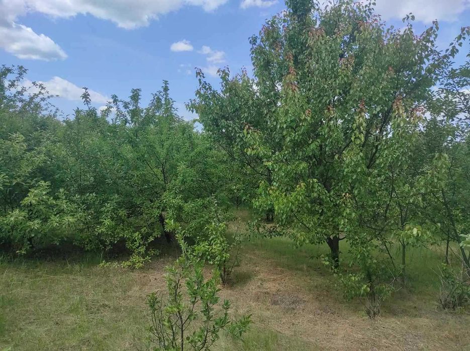 Продаж будинку у с.Москаленки, Золотоніського р-ну