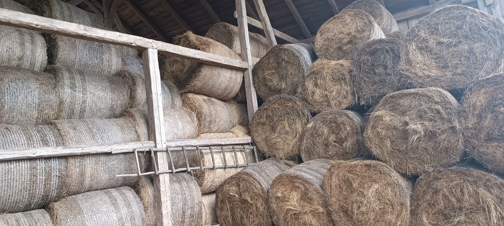 Siano baloty bele 130x120