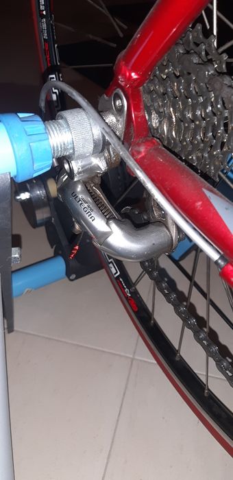 Orbea asphast de estrada