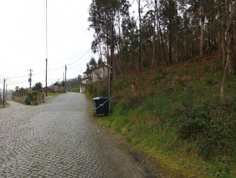 Bouça em Arentim