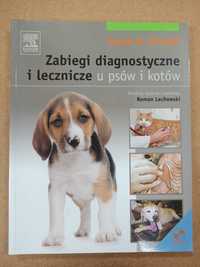 Zabiegi diagnostyczne i lecznicze u psów i kotów