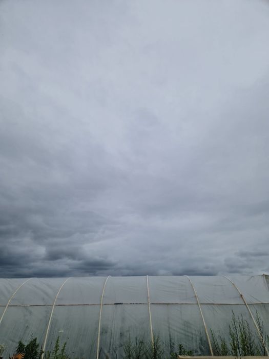 Tunel foliowy metalowy