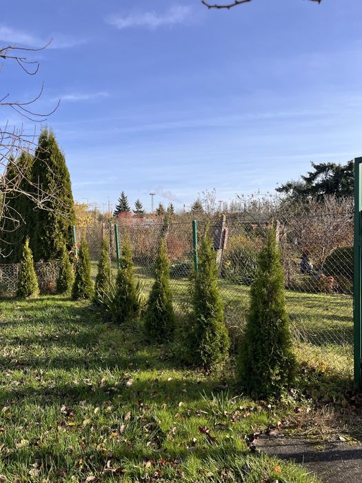 Działka ROD z budynkiem