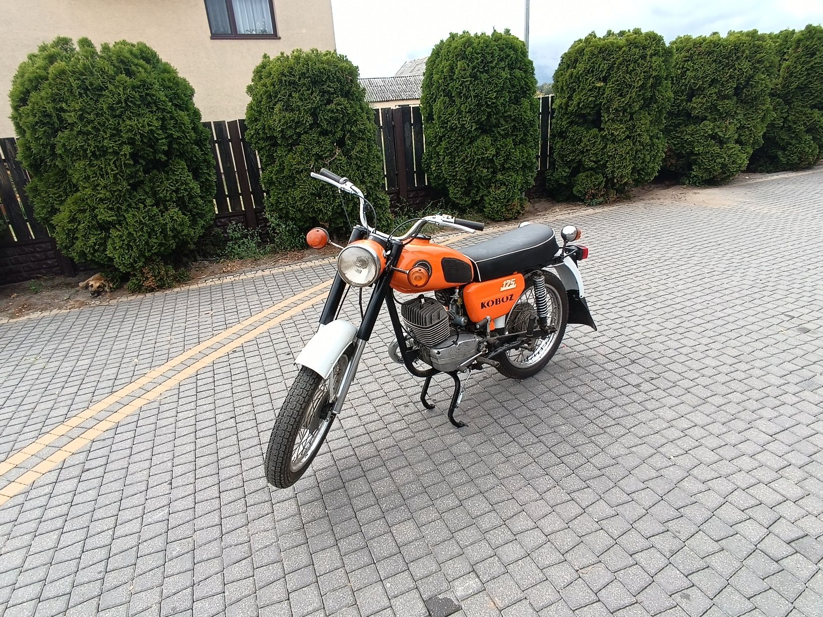 Wsk 175 kobuz łezka zamiana zamienię motocykl quad cross prl auto