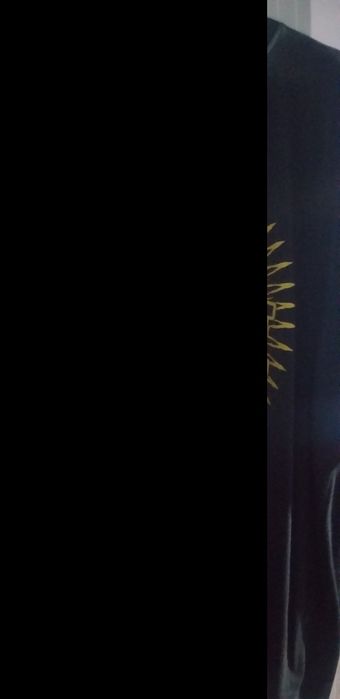 Koszulki spodenki kurtka mass stopro stoprocent wsrh dill chada