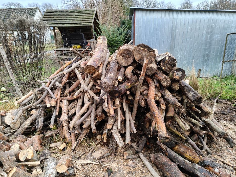 Oddam za darmo drewno