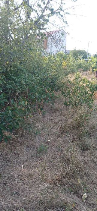 Продам земельный участок в с. Великодолинское