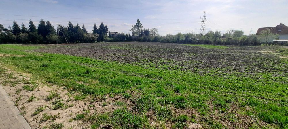 Sprzedam działkę pod Zamościem - 1 km od granicy, 35 ar