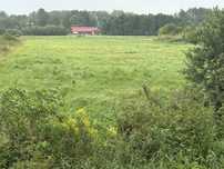 Łąka ( działka rolna) 9500m2