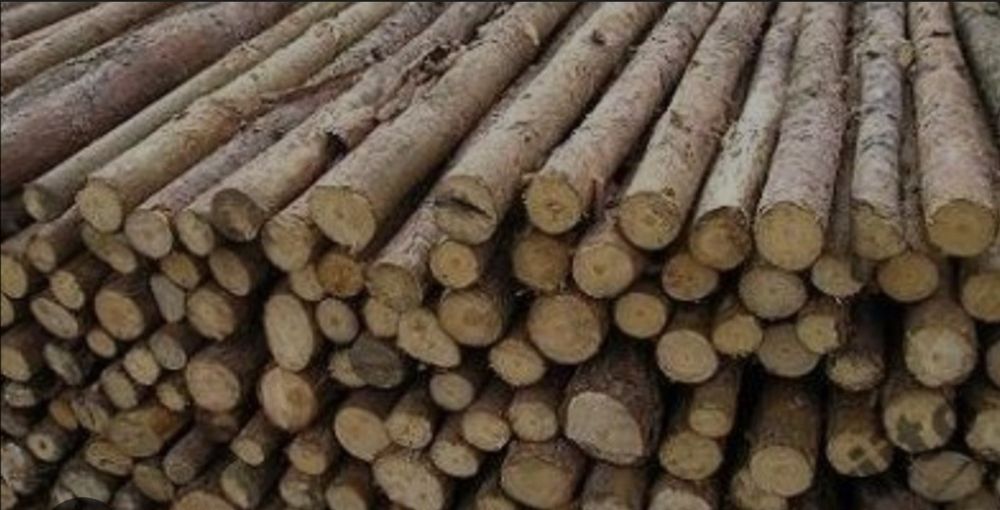 Kołki stemple drewniane