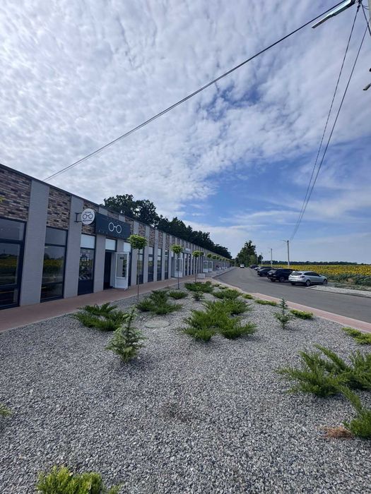 Оренда комерційного приміщення, масив піщаний, 50м. без посередників