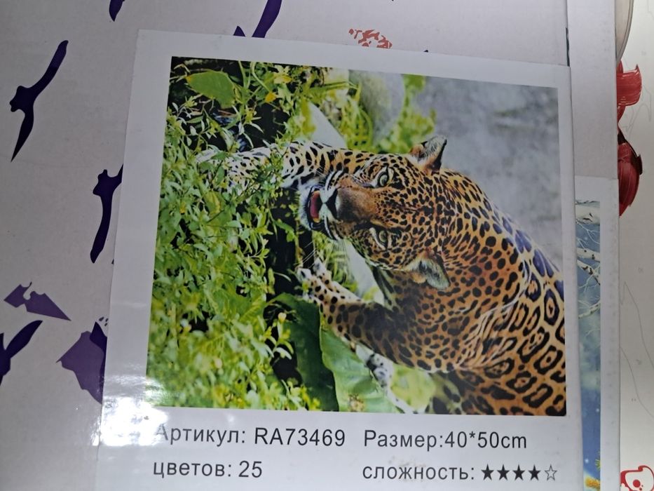 Картина по номерам на підрамнику