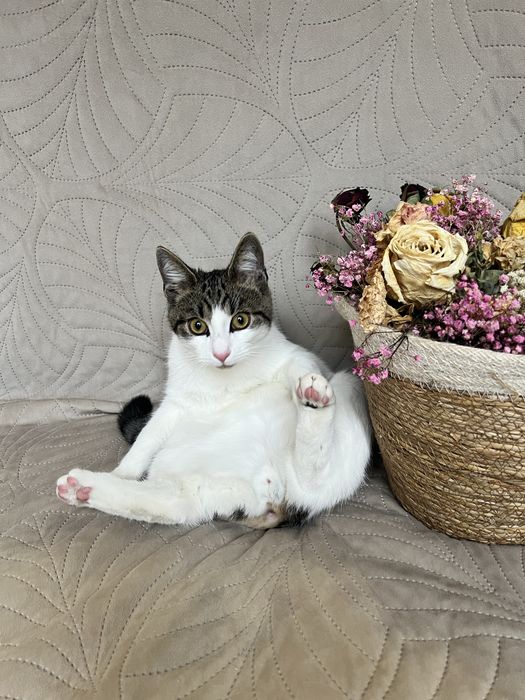 Przekochany Szymon szuka domku