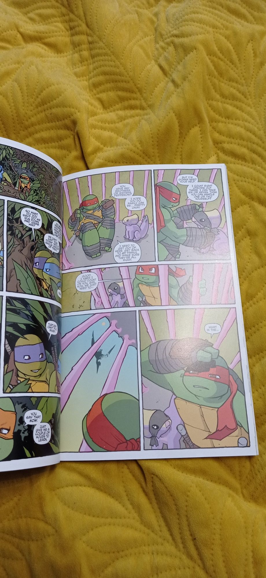 Teenage mutant ninja Turtles Turtles in time komiks