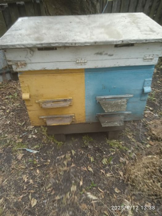 Продам вулики для бджіл