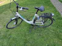 Rower Gazelle orange c7
