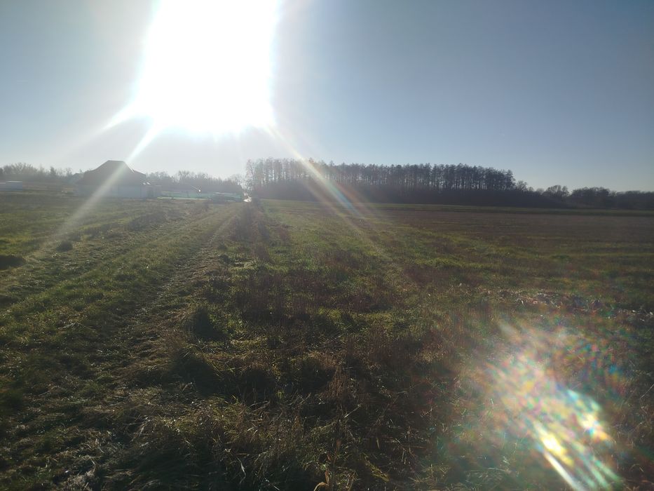 Sprzedam grunt w miejscowości Bogdaszowice