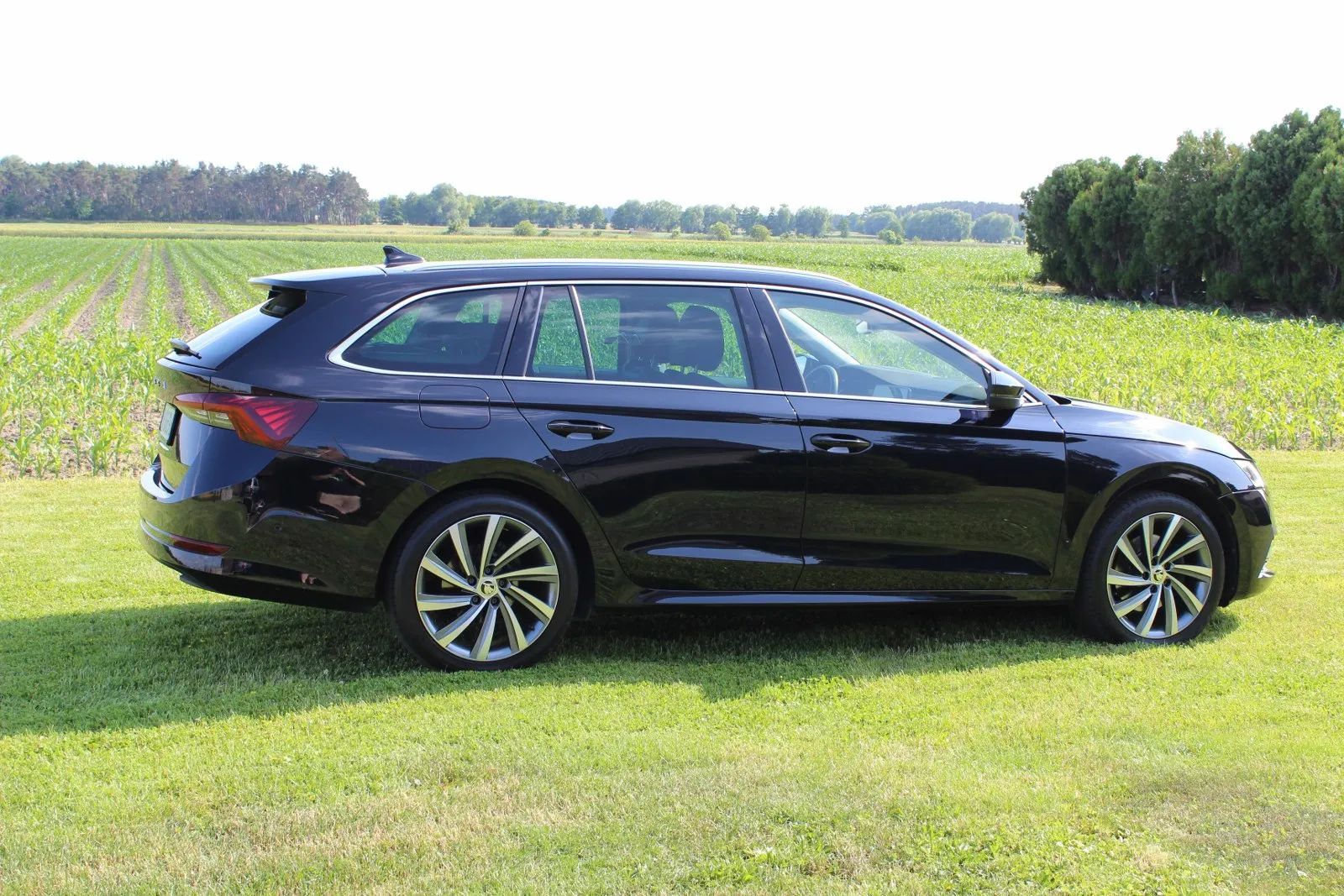 Skoda Octavia *Canton*ACC*Head-Up*Hak*Webasto*CarPlay*Matrix